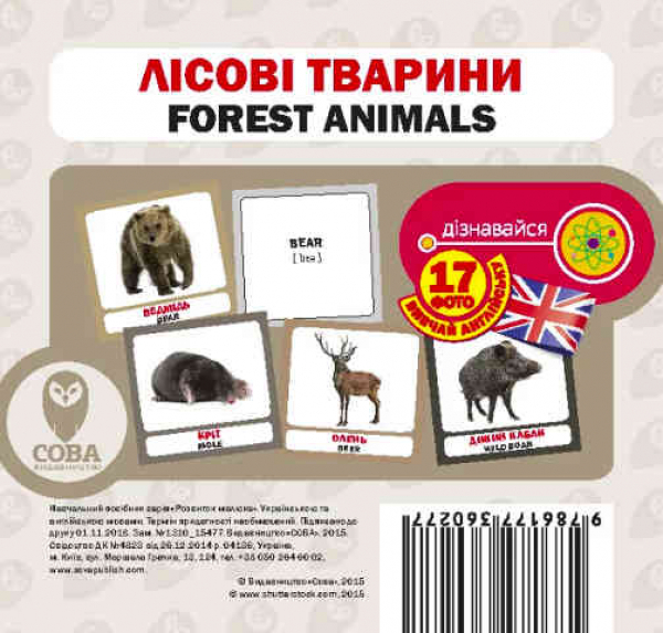 Forest animals